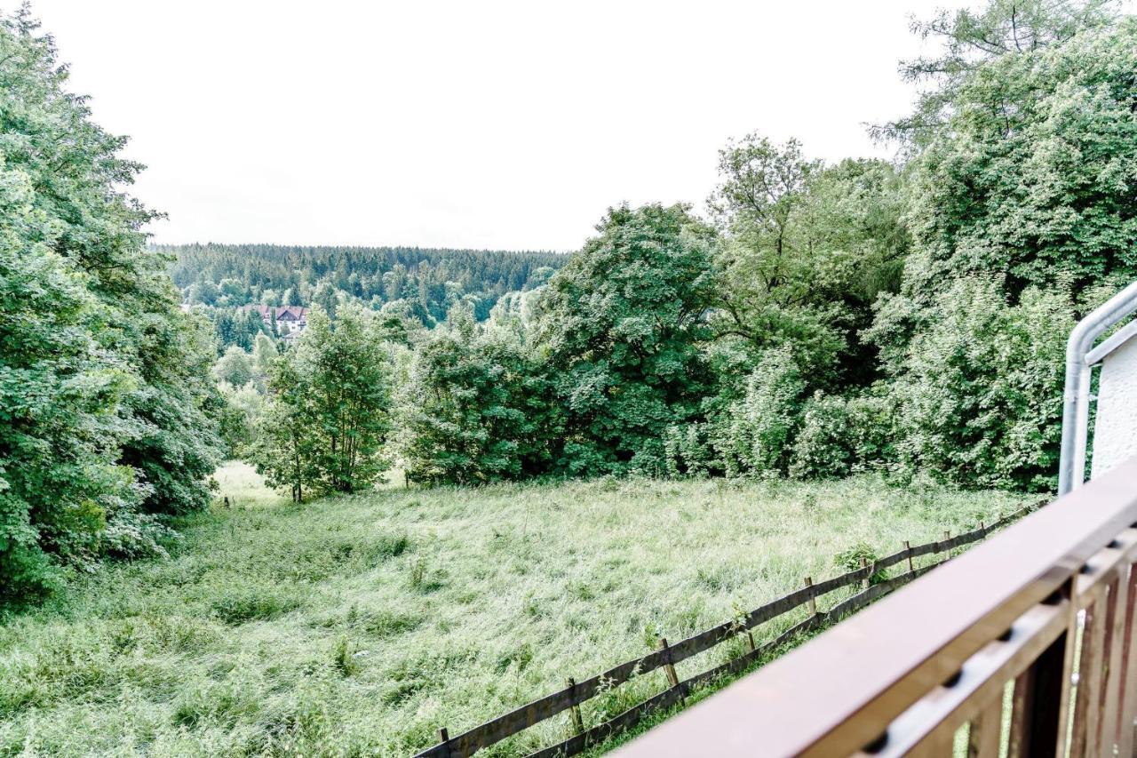 Wiesenblick Goslar Exterior photo
